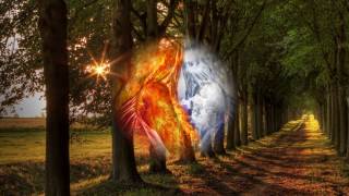 Auf dem Weg zu mir  -  Peter Maffay