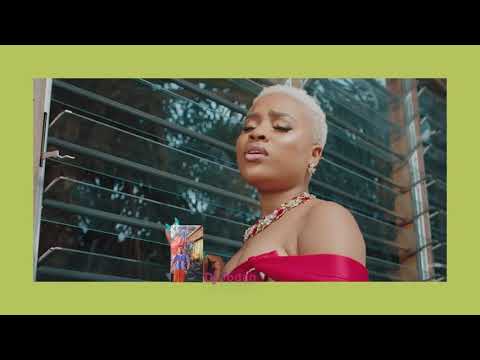 Adina ft StoneBwoy  Takecare of you Dj Jodan melody remix