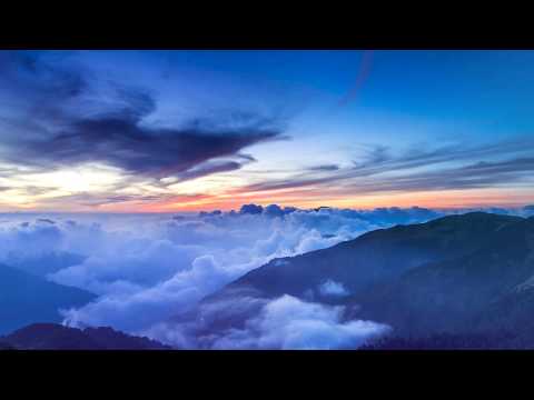 Nitrous Oxide feat. Aneym - Follow You (Maor Levi Remix) | w/ Lyrics