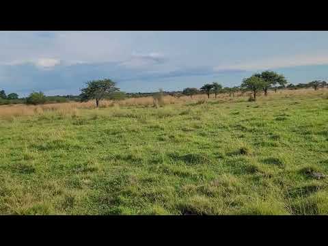 Venta de 25 Has. en Mercedes Corrientes