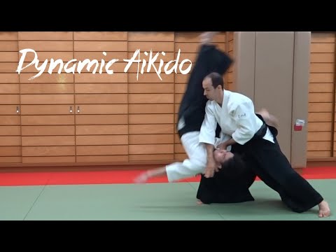 Aikido Freestyle techniques 自由技
