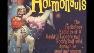 The Hormonauts - Gonna Be Loved