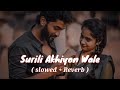 Surili Akhiyon Wale Full Song Lofi Slowed Reverb  Fullsong Salmankhan