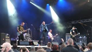 Millencolin 20 years