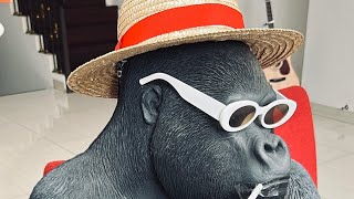 Download lagu Bang bang bang-bravy edit mp3