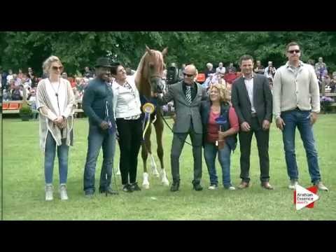 Bruges 2016 - Junior Colts International Championship - Prizegiving - 2nd place: n. 171