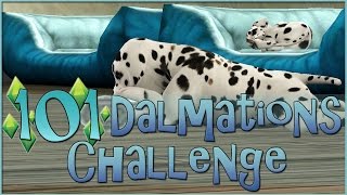 Sims 3 || 101 Dalmatians Challenge: Raising Playful Puppies! - Episode #13