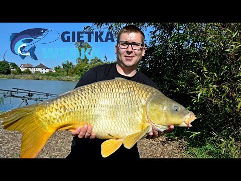 Czechy i 43 kg karpiowego szaleństwa