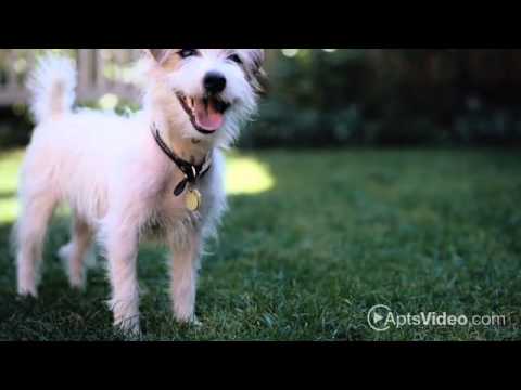 Jefferson Hills Apartments in Framingham, MA - ForRent.com