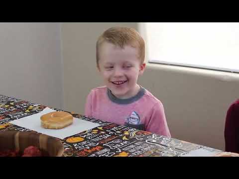 Bee Swarm Ate my Doughnut! Giant Hive of Bug Toys Attack the Pastries (REUPLOADED)