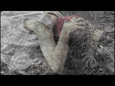 Fairground of Tears - Pain is God [TOY001]