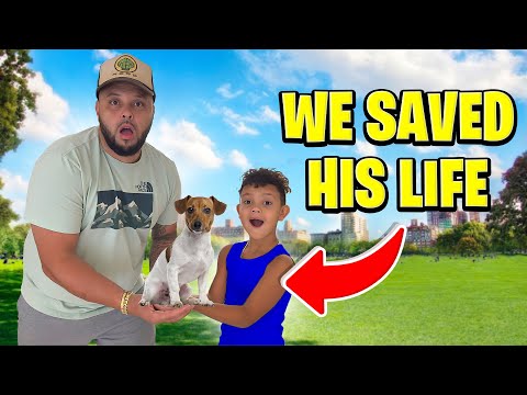 We Saved a DOG'S Life!