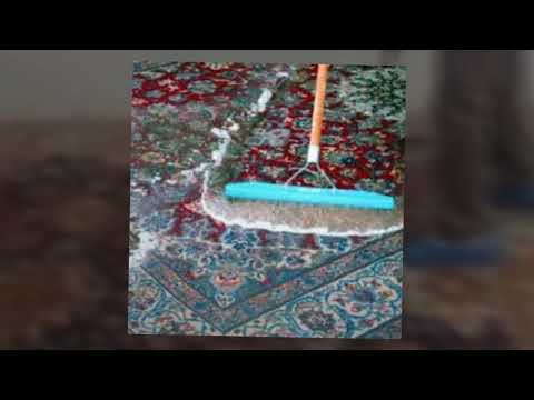 download lagu mp3 mp4 Carpet Cleaning Chelsea Nyc, download lagu Carpet Cleaning Chelsea Nyc gratis, unduh video klip Carpet Cleaning Chelsea Nyc