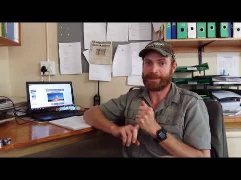 Amakhala Cheetah Relocation Project