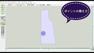 ポイントの整え方