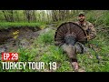 PENNSYLVANIA PUBLIC LAND GOBBLER