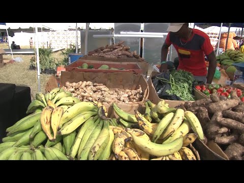 Farmers holding their own despite below average rainfall