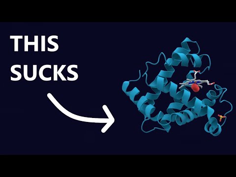 The Truth about Plant Proteins