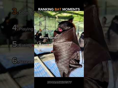 Ranking Bat Moments #ranking #bat #moments #shorts