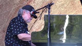 Blue Lite Boogie (Louis Jordan) - Craig Brenner