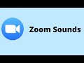 Zoom Sound Effects (Doorbell, Waiting Room, Chime) FREE DOWNLOAD