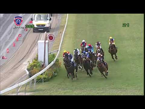 RM36 R5 | Dynamite Jack | J.Allyhosain