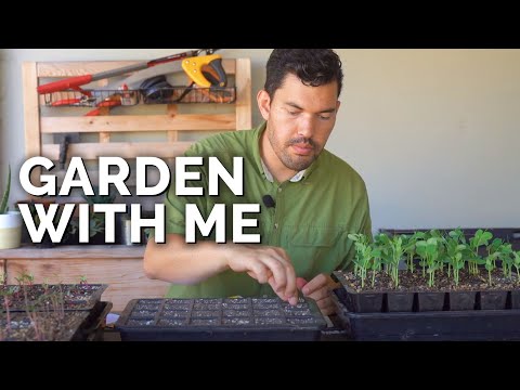 Garden With Me Starting Seeds Pruning Composting