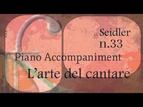 Seidler n.33 - Piano Accompaniment (Play - Along)