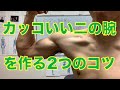 【上腕二頭筋 コツ 】かっこいい二の腕を作る2つのコツ【埼玉県 和光市 腰痛 整体 整体院祐】