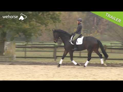 Wie reite ich Paraden? | Ingrid Klimke