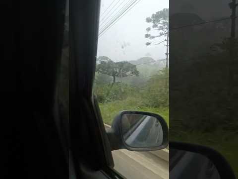 São Bento do Sul #sc #br280