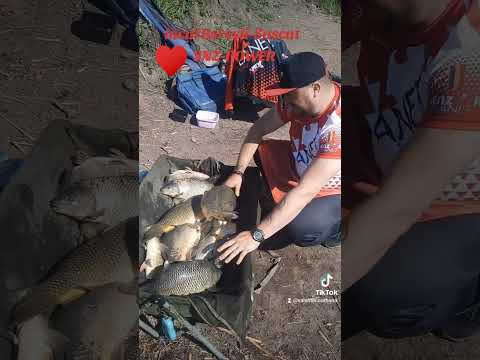 iazul Berești 2024 pescuit method feeder la crap