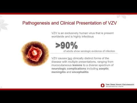 Detection of VZV & HSV in Skin & CNS Infections Using Molecular Testing — Feat. Preeti Pancholi