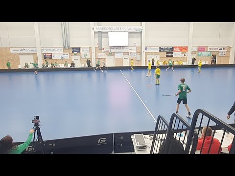 P15 Pirkat Blue - SBT PaPo