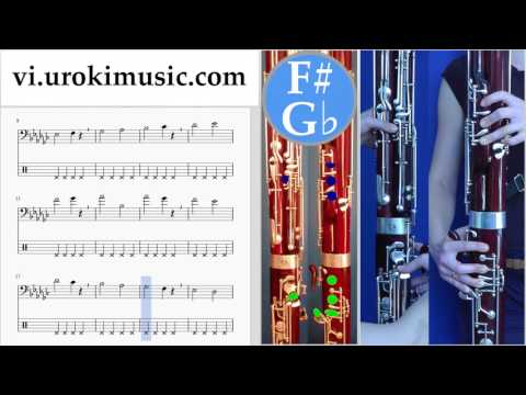 Học Đàn Kèn Bassoon Charlie Puth - Attention Hướng Dẫn  Bài Hát Phần 1 Bài tập um-i687