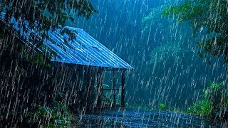 Download lagu Rain Sounds for Sleep – Fall Asleep Quickly with Heavy Rain & Thunder Echoing Off the Roof mp3