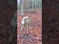 Love This Time Of Year Hunting Outdoors Ar Jesus E You
