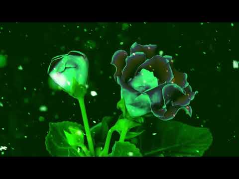 Sinister Stricken - Hopeless Dawn