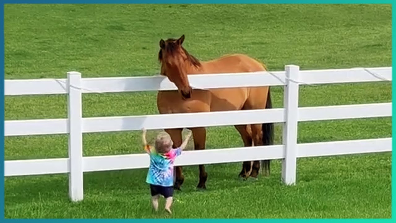 Random Acts of Kindness | Faith in Humanity Restored