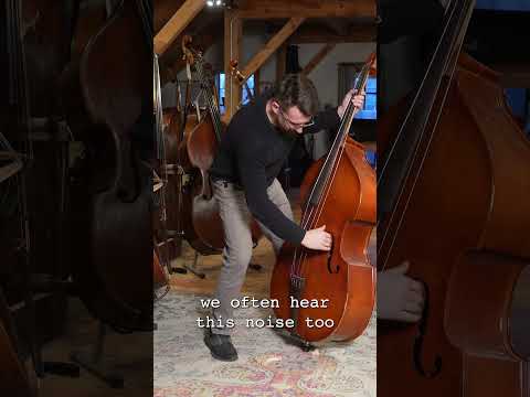 What NOT TO DO with Your Upright Bass BRIDGE! Avoid this gig nightmare!!