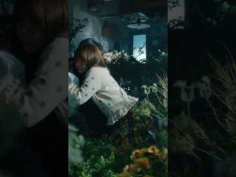 新曲「アネモネ」MV公開！　#アネモネ #novelbright