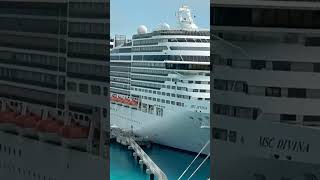 MSC DIVINA 2024