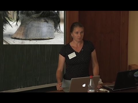 Vortrag Huforthopädie Konstanze Rasch 2015 - Huforthopädie in Theorie und Praxis - Teil 1