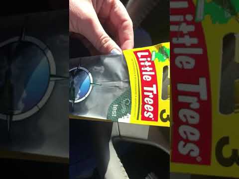 Little Trees 🎄True North 💛Air freshener 🎄Review