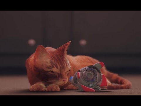 Stray PS5: Final Area + Ending