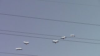 Zhu - Drowning (Visuals)