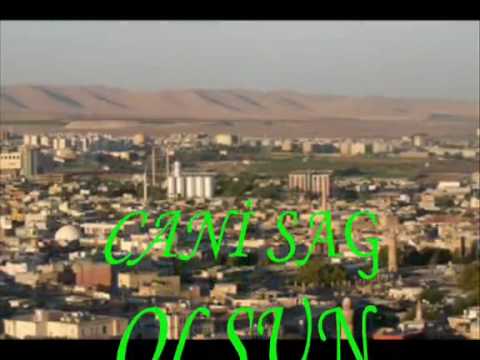 ŞANLIURFA SİNEM KASETÇİLİK ( ALDIRMA URFALI CANİ SAG OLSUN )