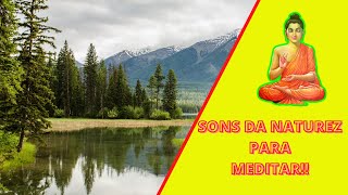 Msica Relaxante e Sons da Natureza   Acalmar, Relaxar, Dormir!!