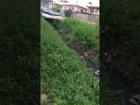 Full Plot & Half Plot of Land 📍 Location: Balogun Street, Ago Palace Way, Lagos