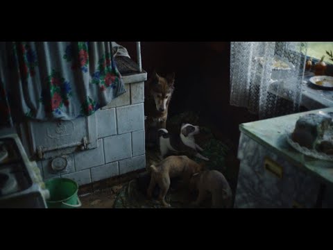 Chernobyl Episode 4 Scene | HBO | Pets Liquidation